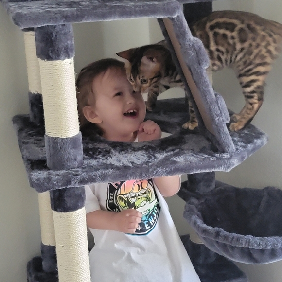 Meet your Posher, Shy - Picture 5 of 5